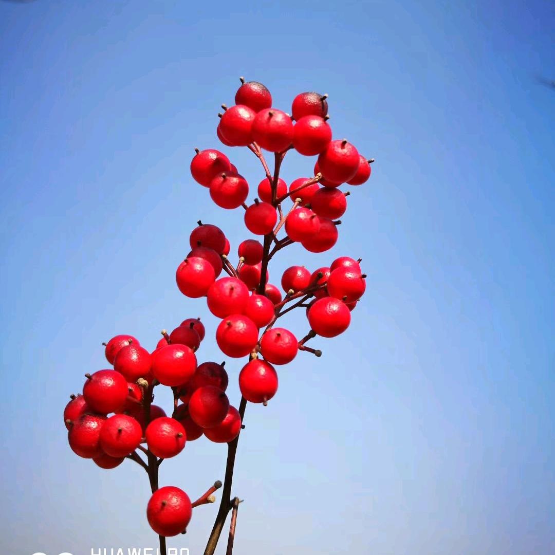 啥事别往心里葛