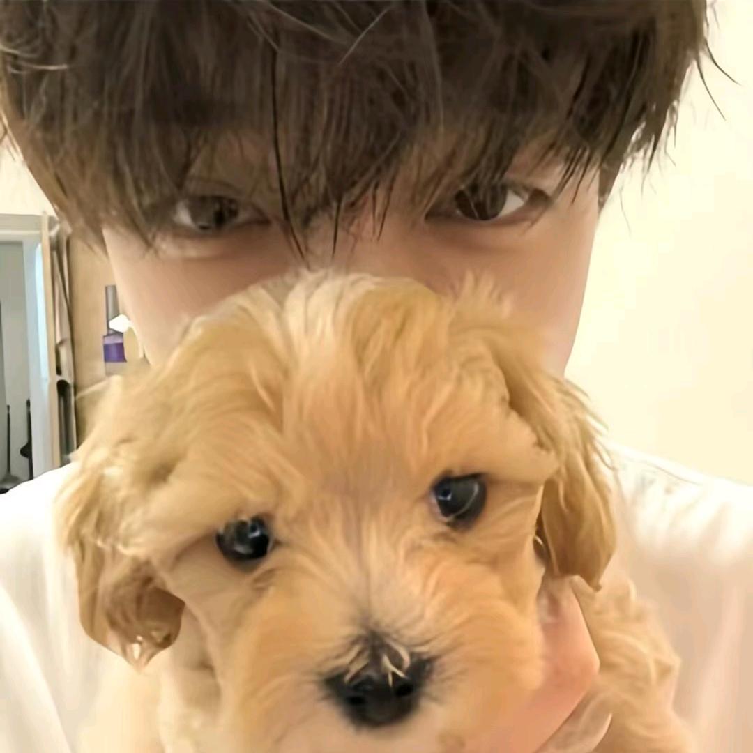 吃番茄长大的西红柿（领低保版）