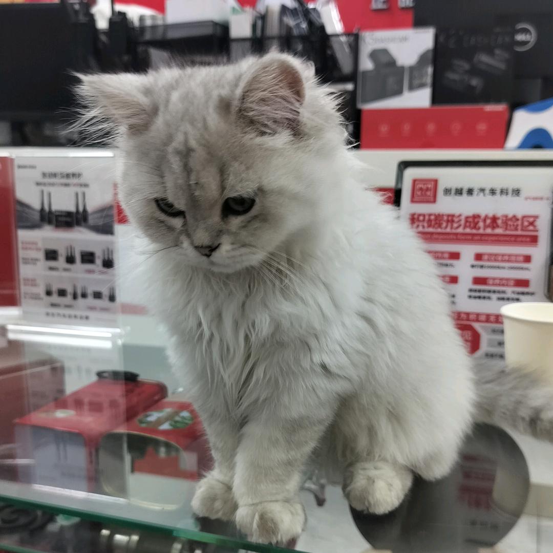 幸福