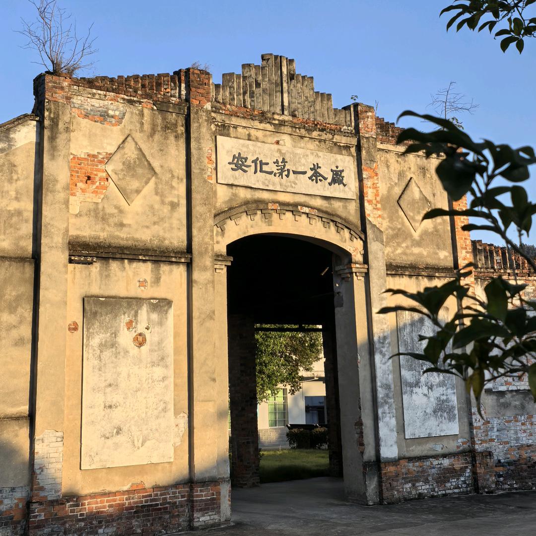 安化第一茶厂工厂店