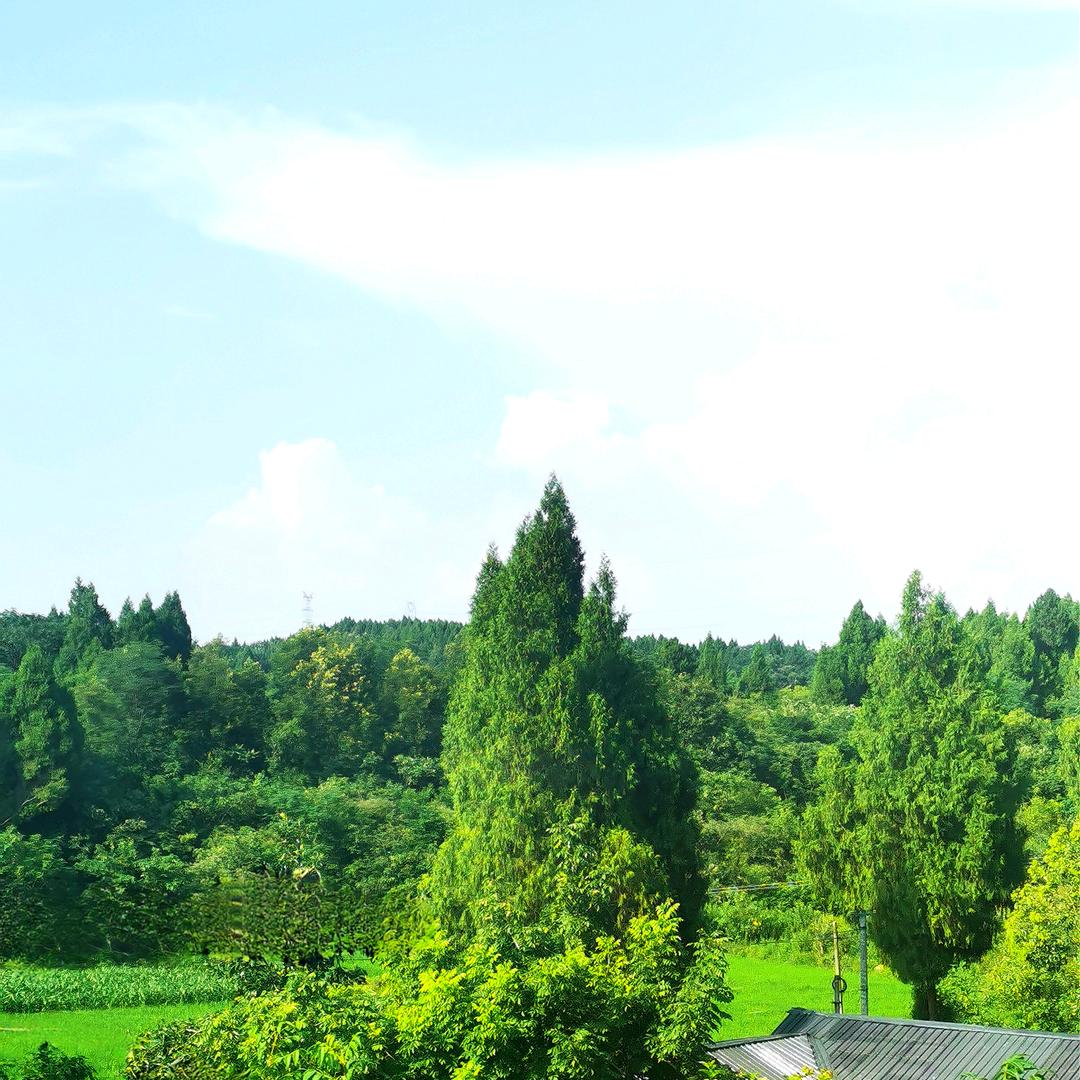 美景16