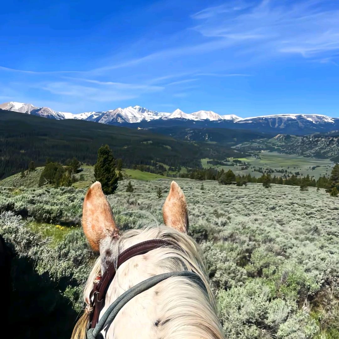 别瞧不起穿板鞋的