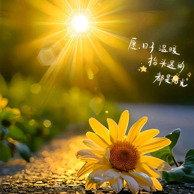 장광의