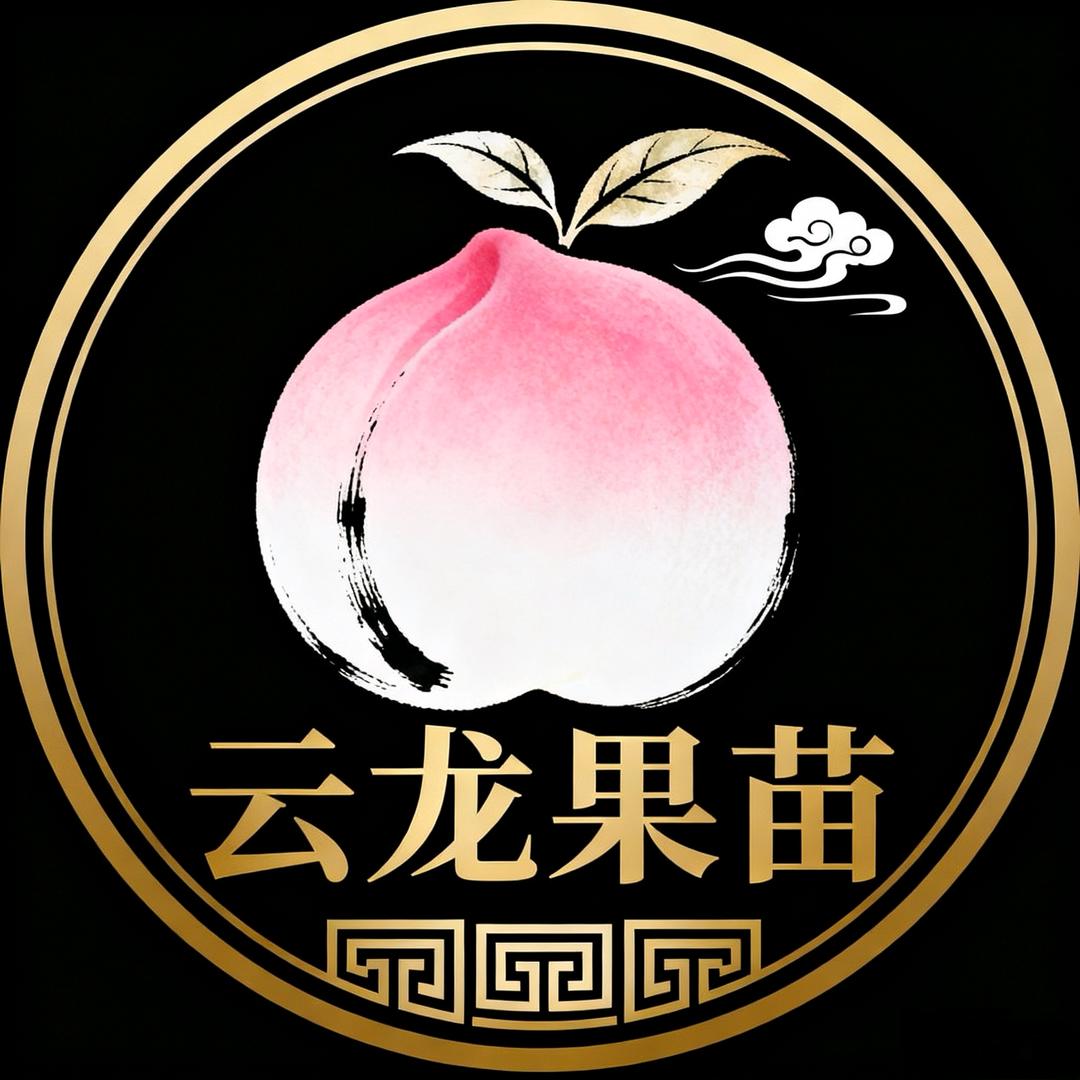 云龙果苗