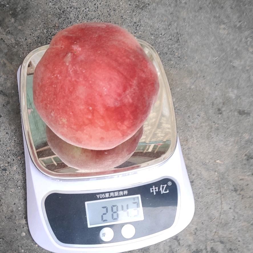 新起点汽车维修养护