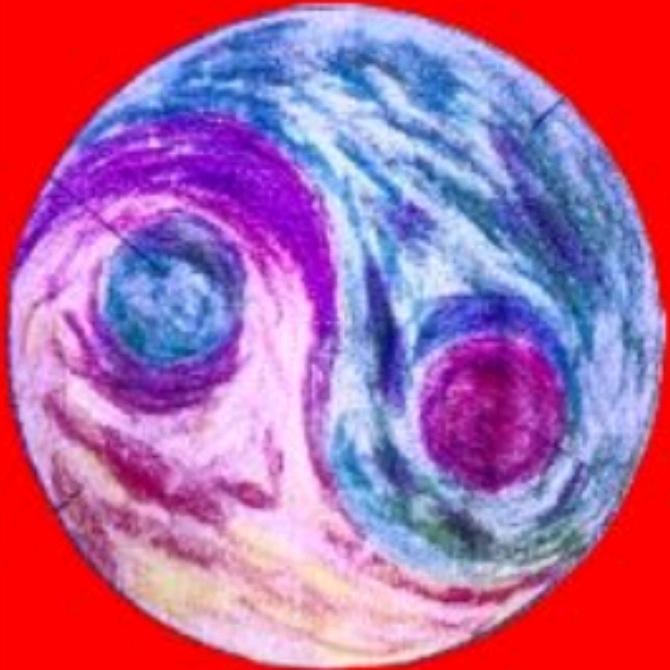 口无遮拦的疯子