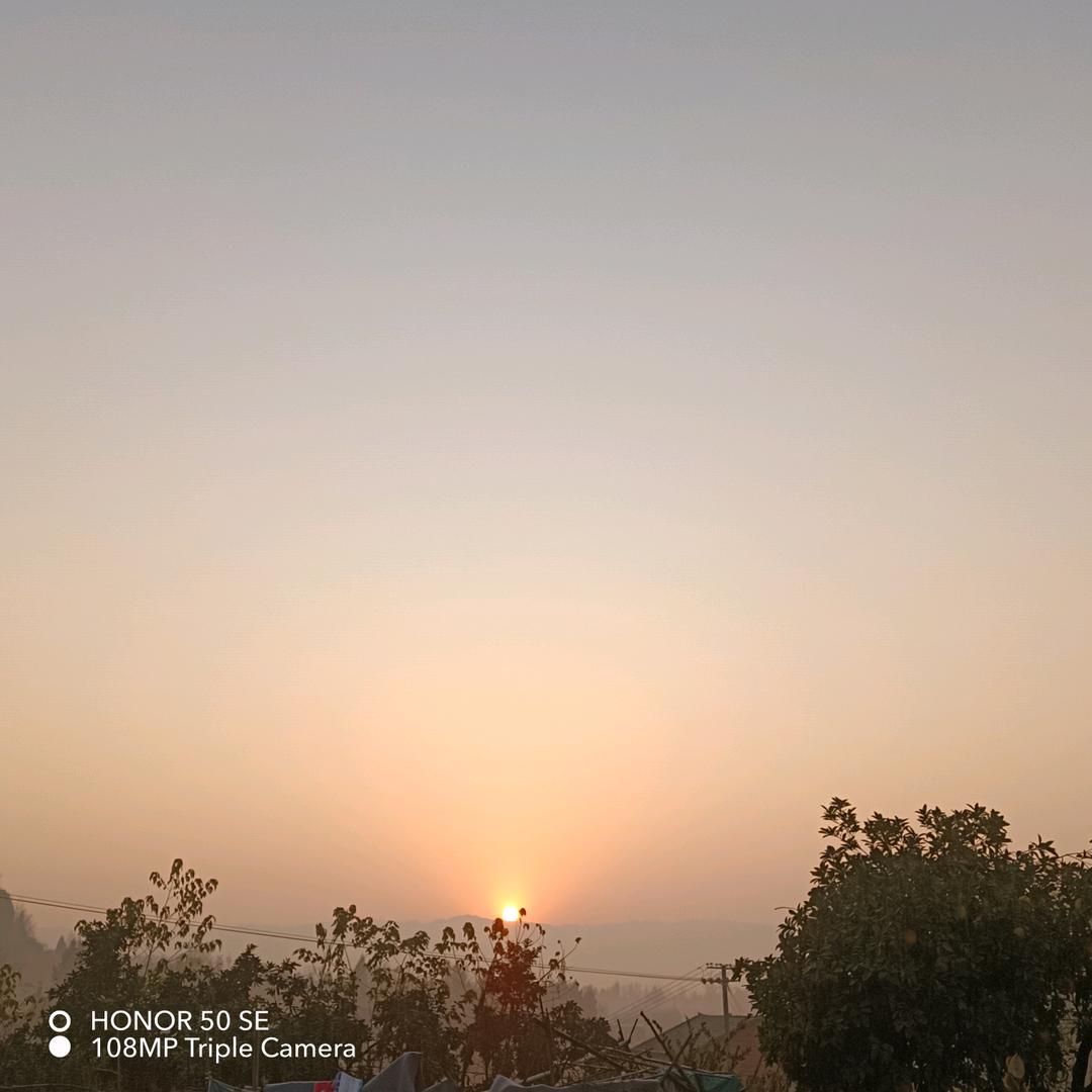 筱峰