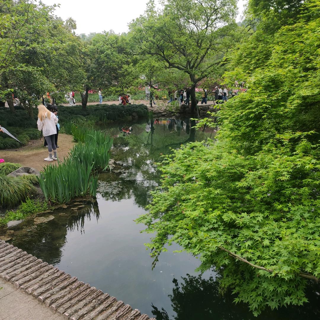 欣欣向荣
