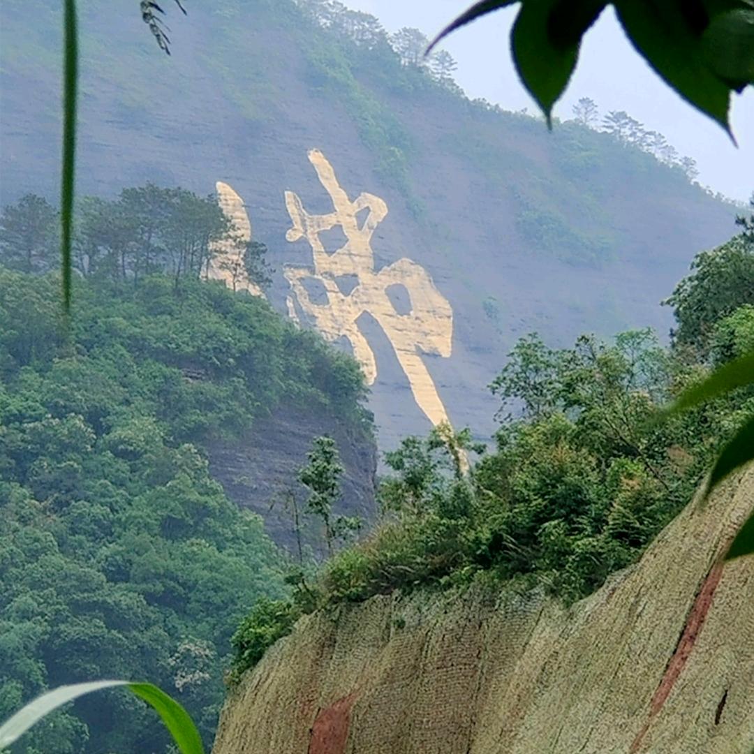 扬楚逸夏