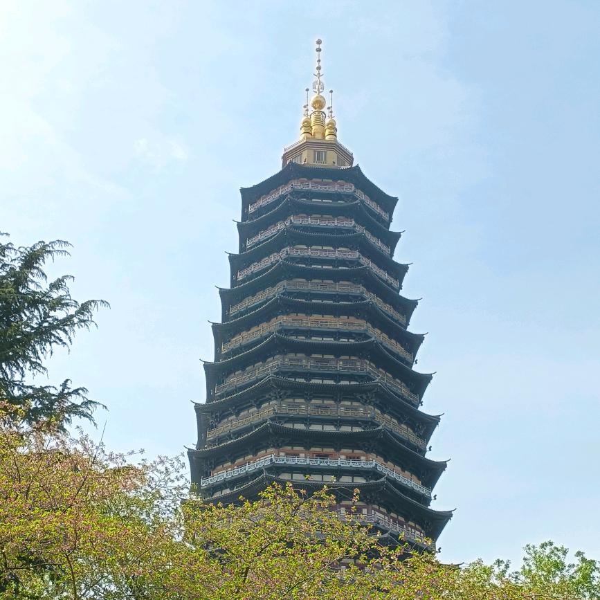 高小白