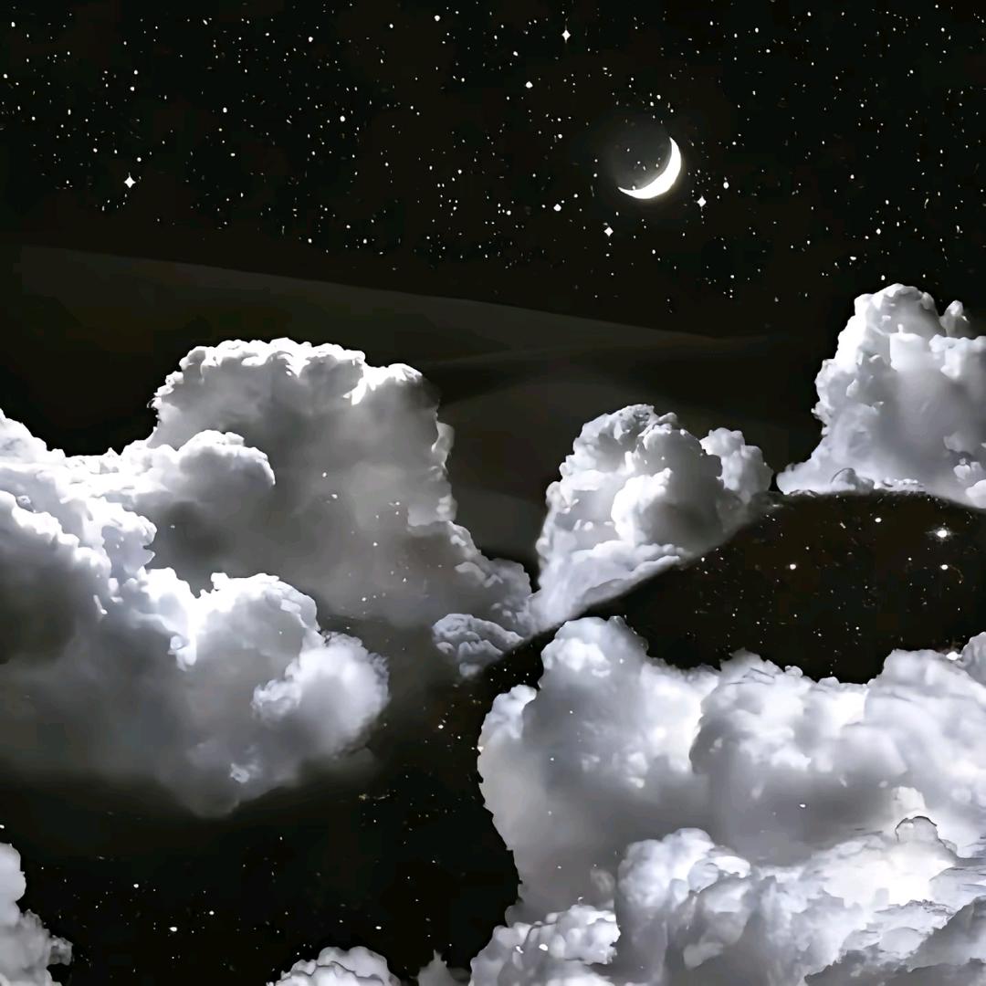 东风夜
