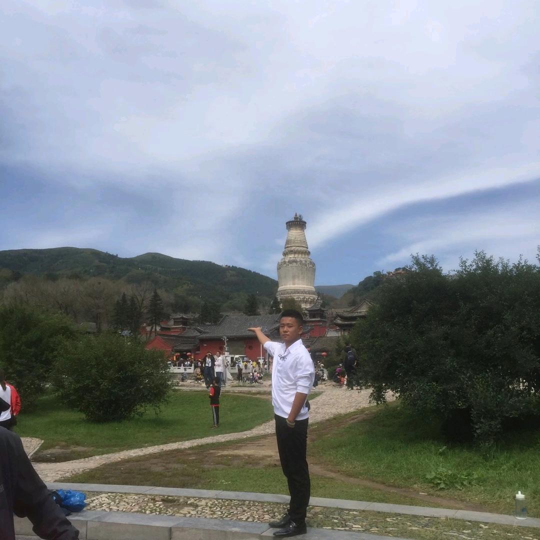 阳 （）