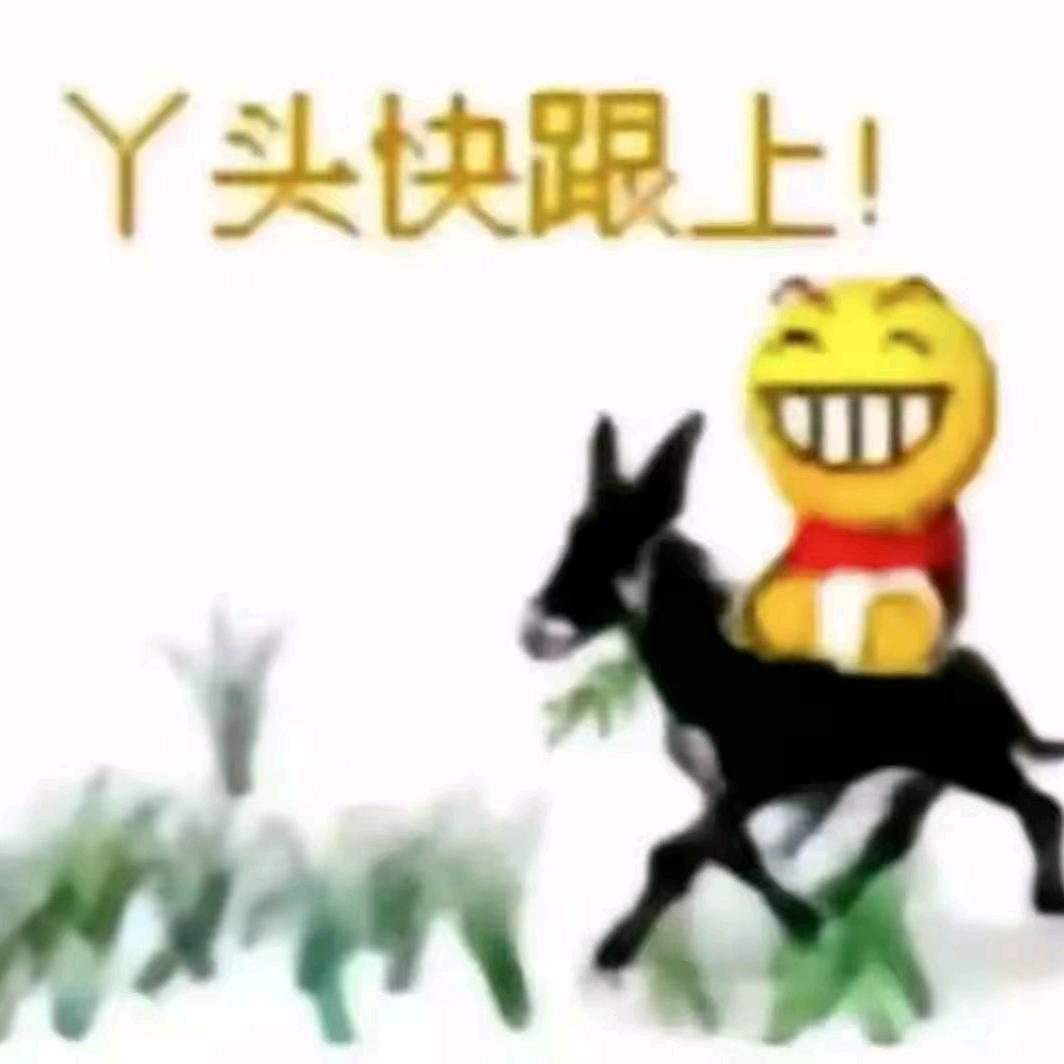 没钱从北草到南