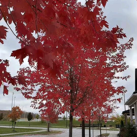 用户4690196802536晓晓