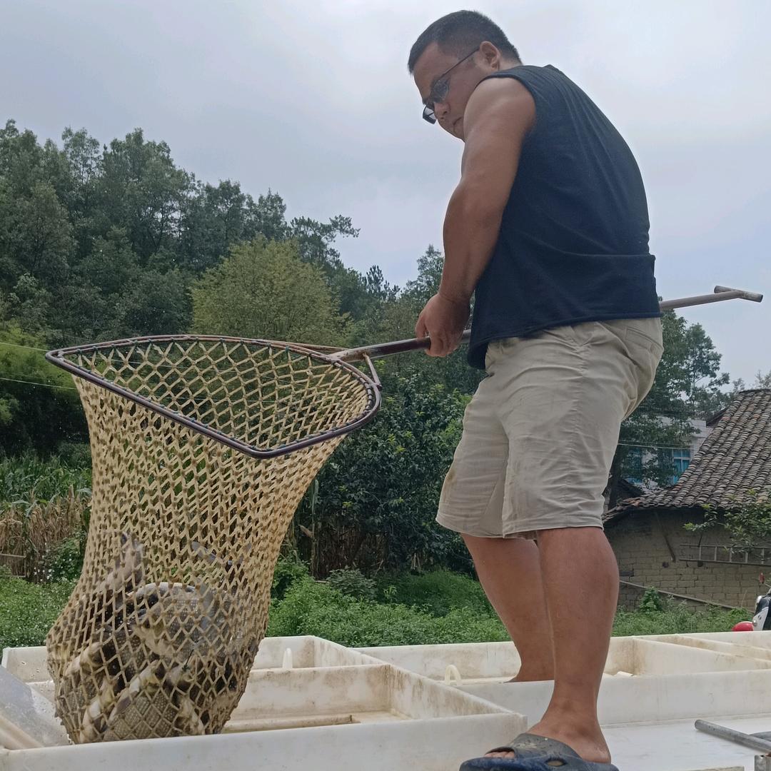 宜昌闫老二水产品