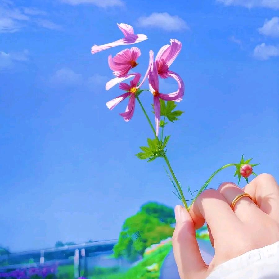 𝐆𝐮𝐨Rྀི