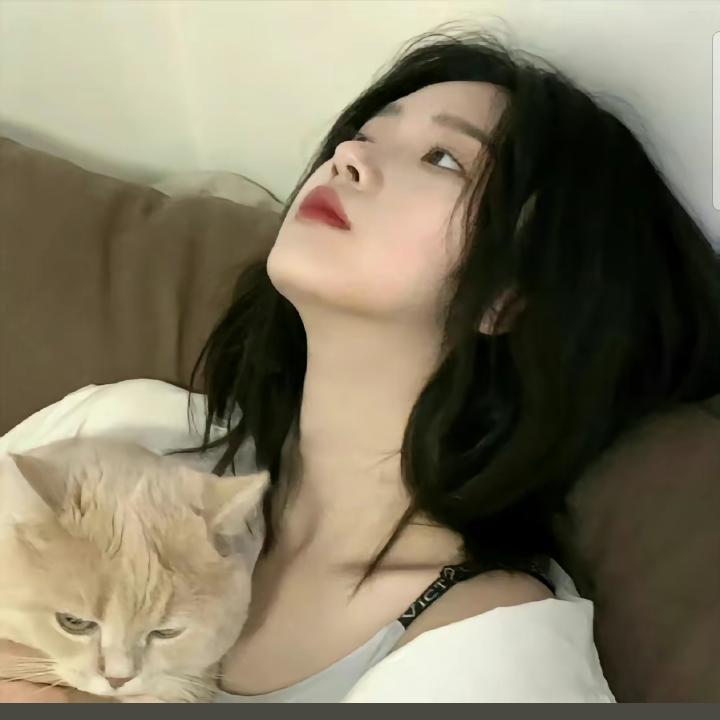 小小花猫经营部