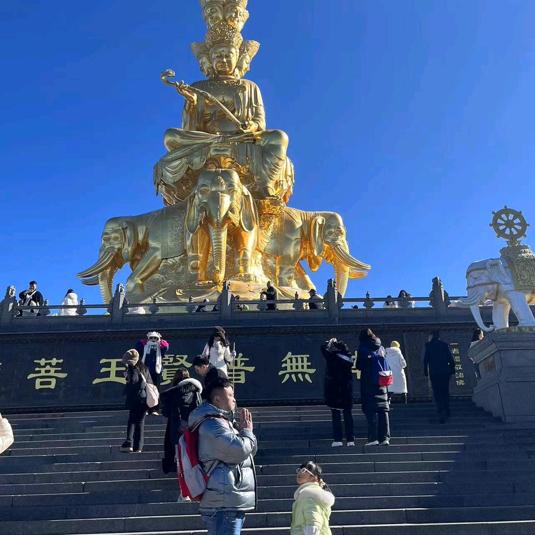 豹子也会饿