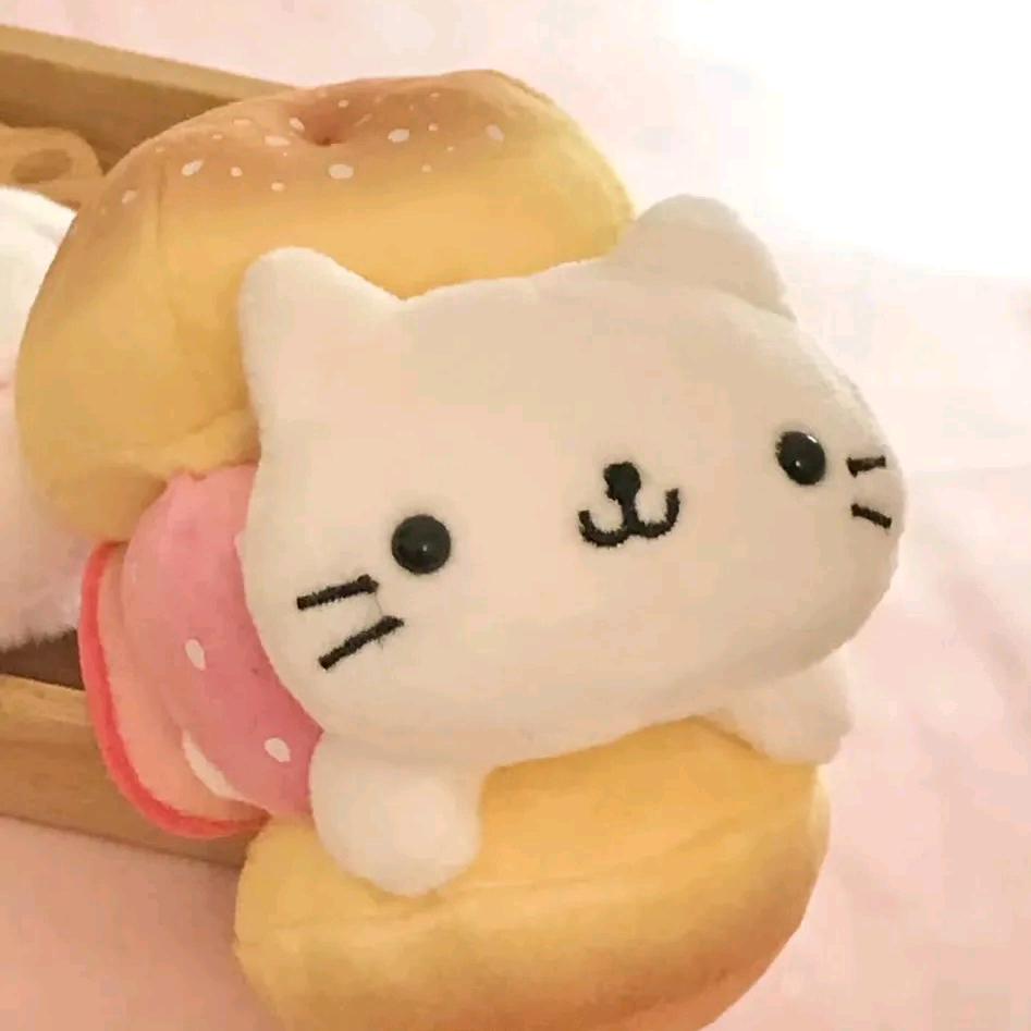 睡觉不想闭眼