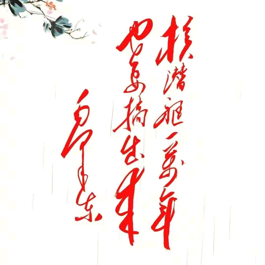 虎一刀