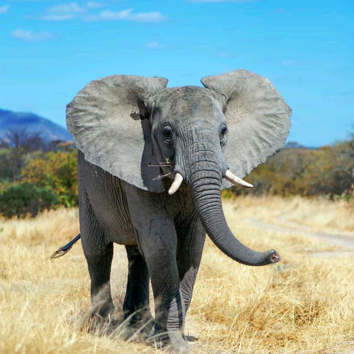 一入江湖岁月催