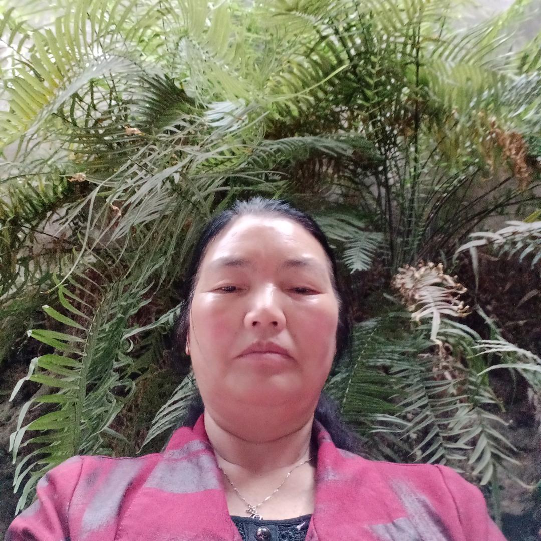 开心过好每一天