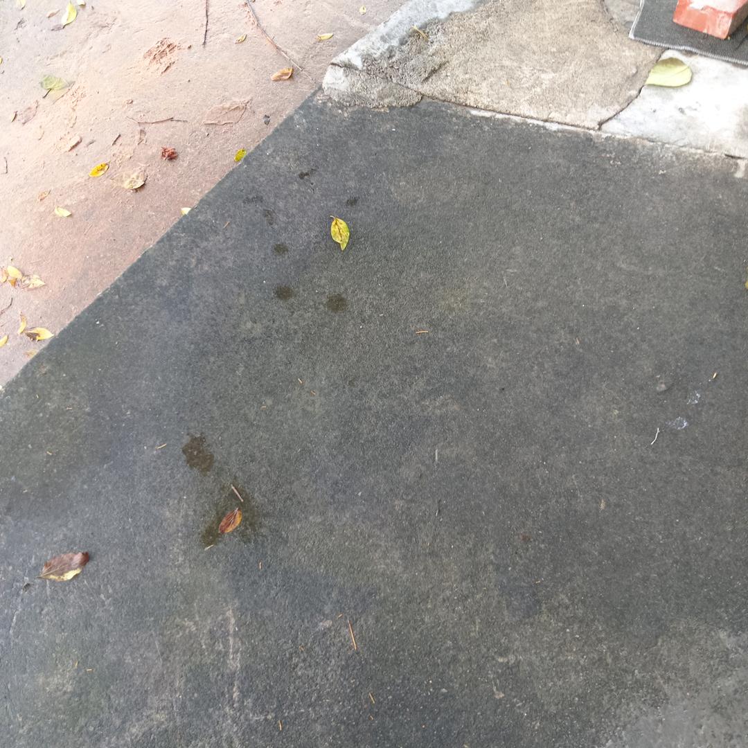 孤独仿佛