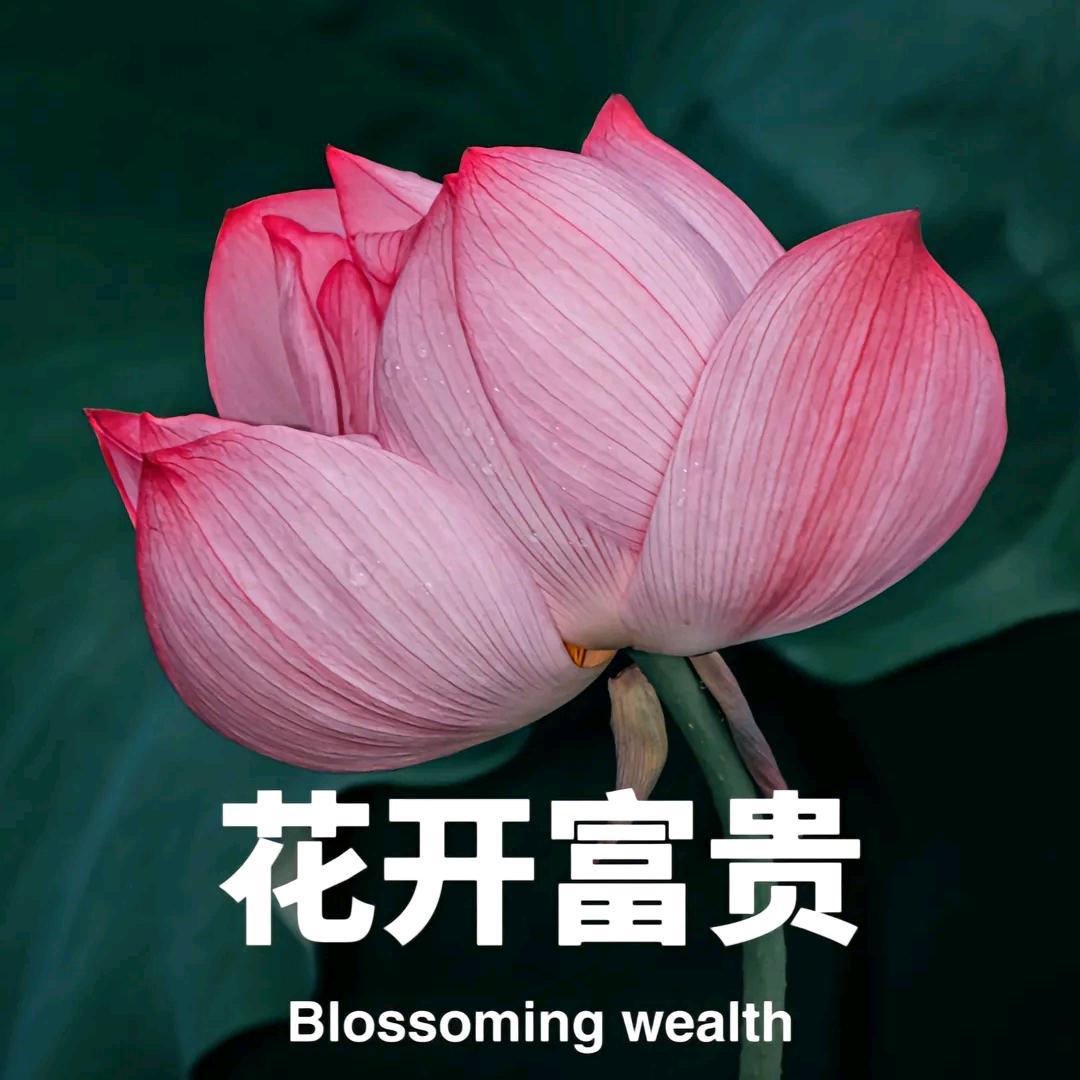 努力拼搏