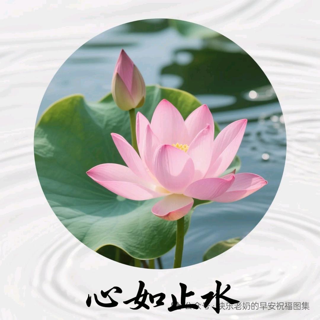 往后佘生