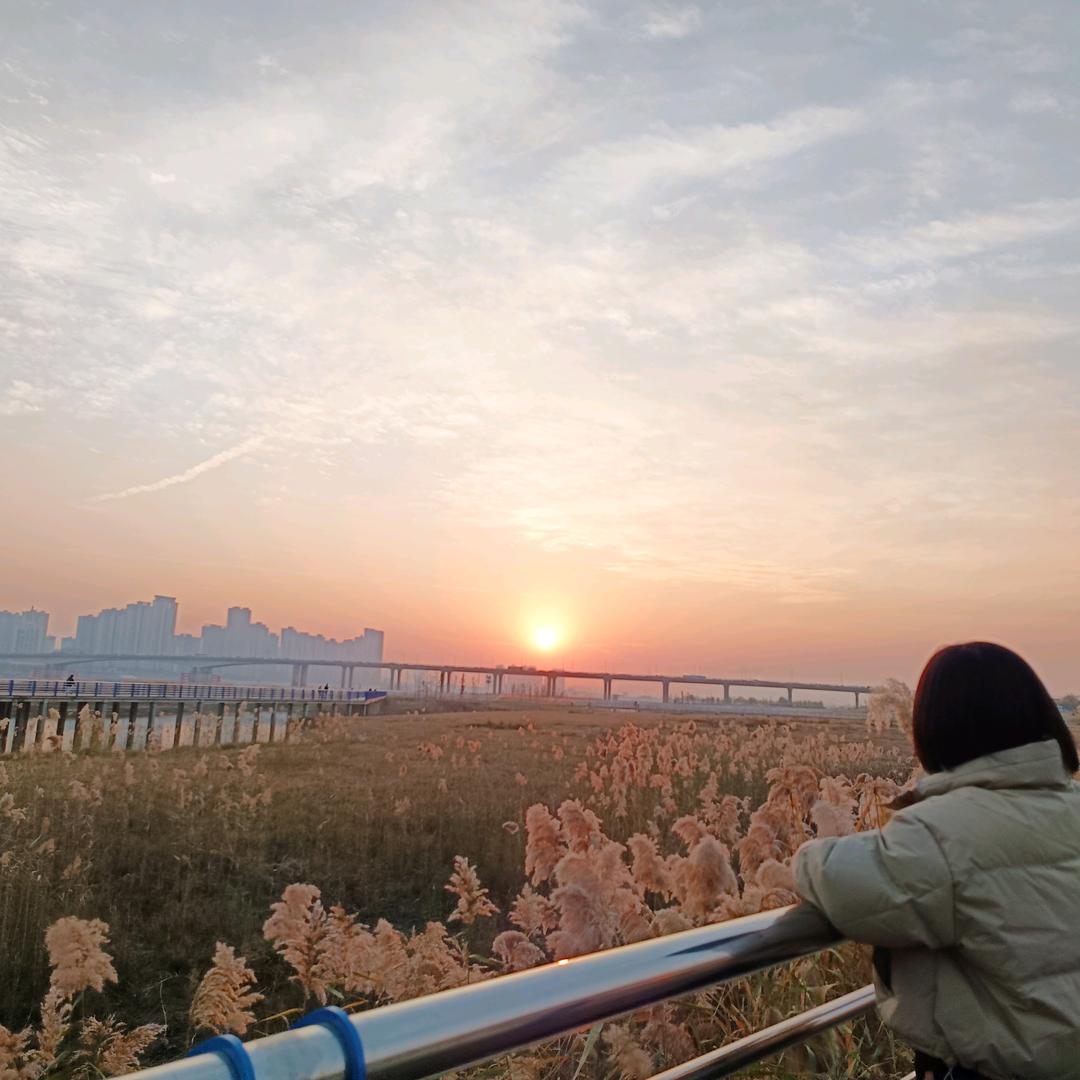 独白(๑ᵔ~ᵔ๑)