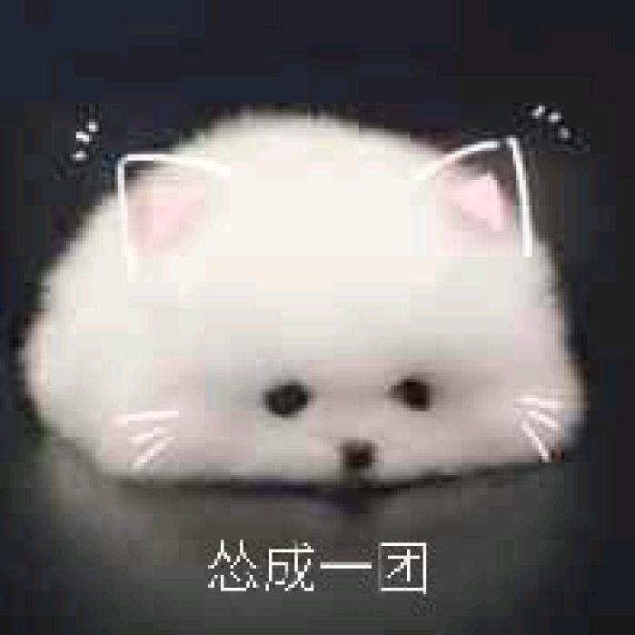 未知之贼