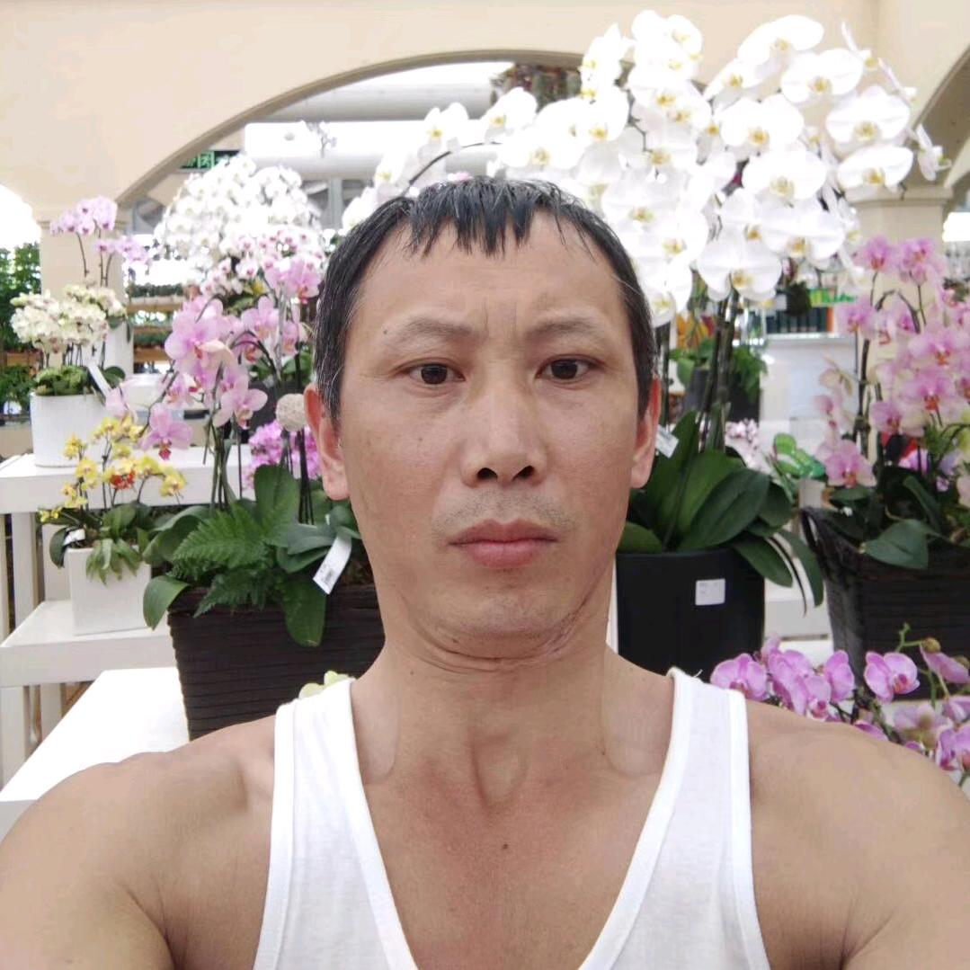 顺其自然（在君哥）