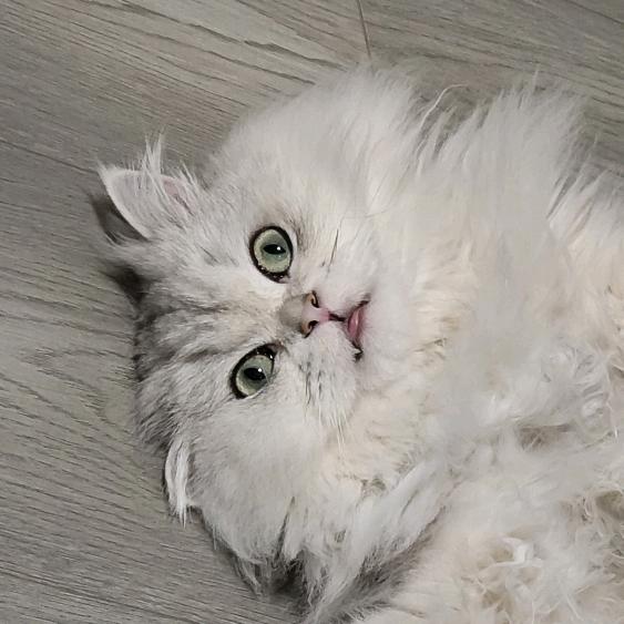 1日25时。