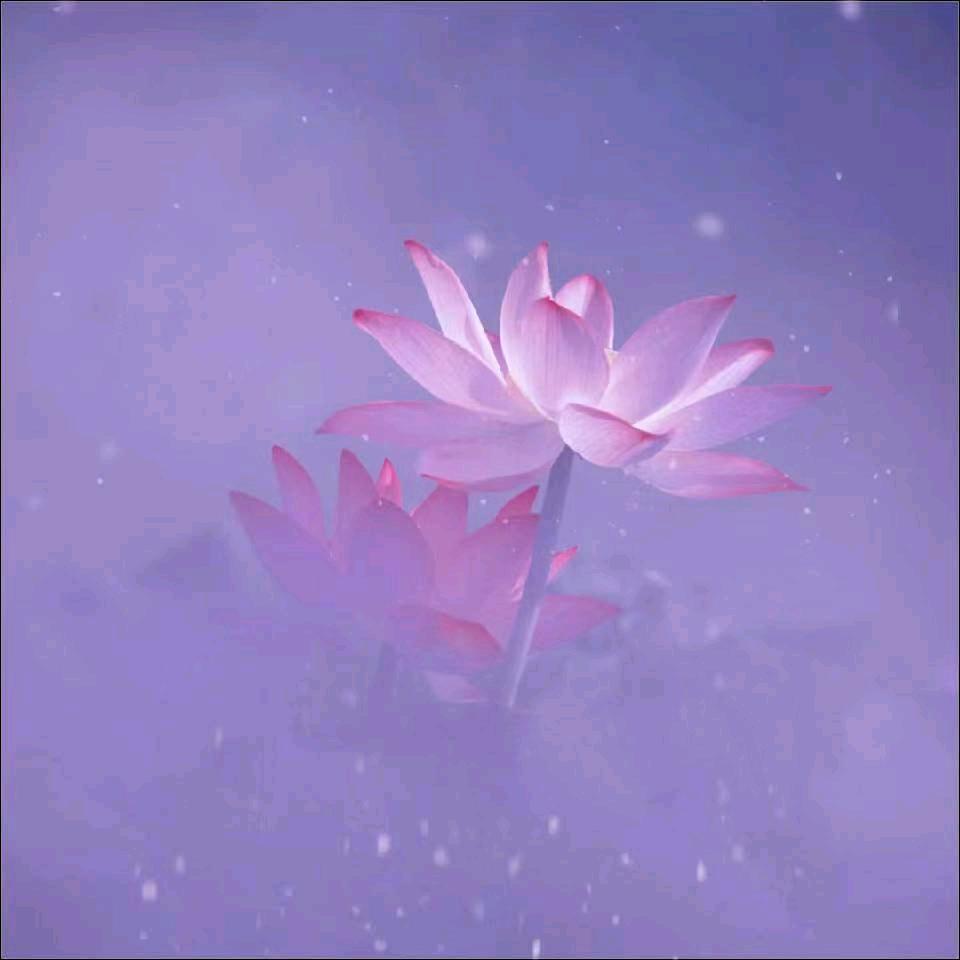 墨辞🇨🇳