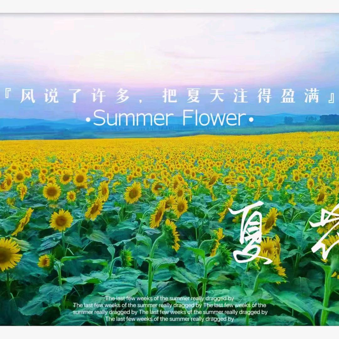 （随缘）