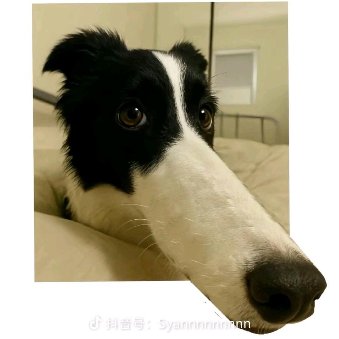 没错，我就是爱做梦