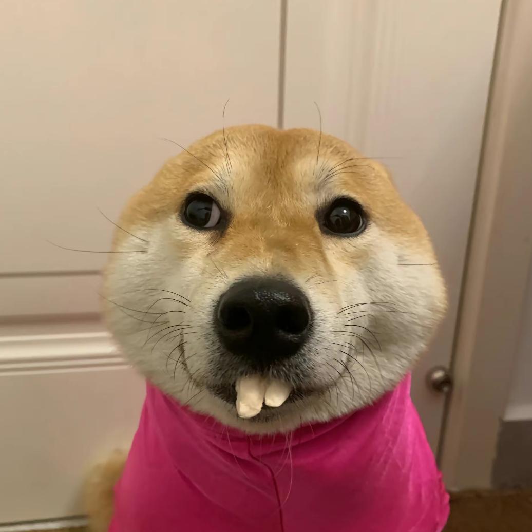 低调椰子水