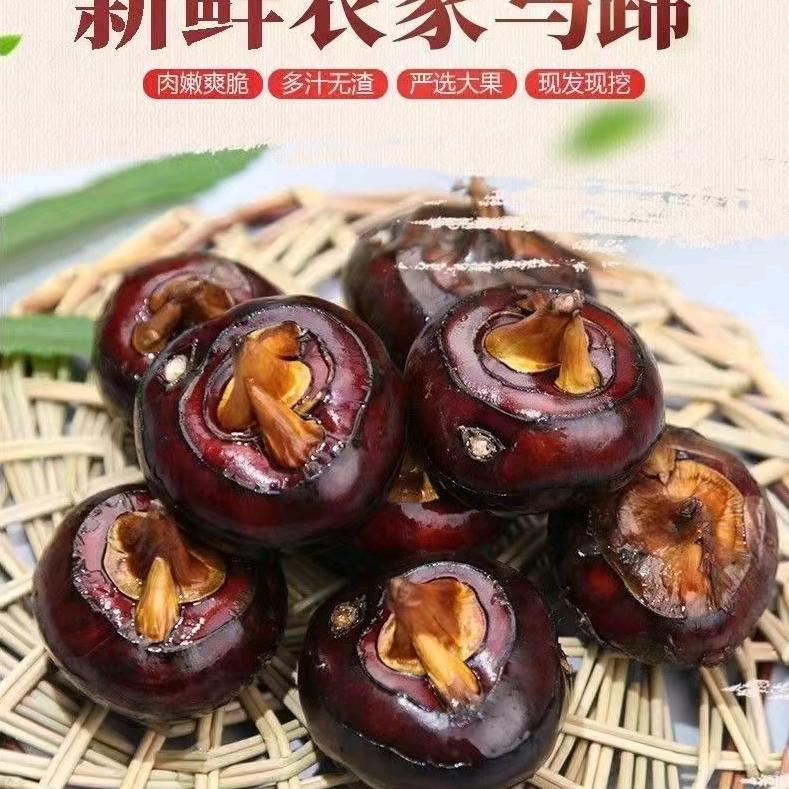 马蹄购销