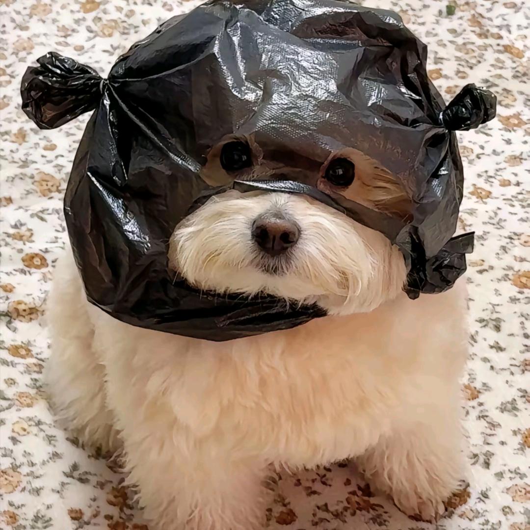⊙︿⊙