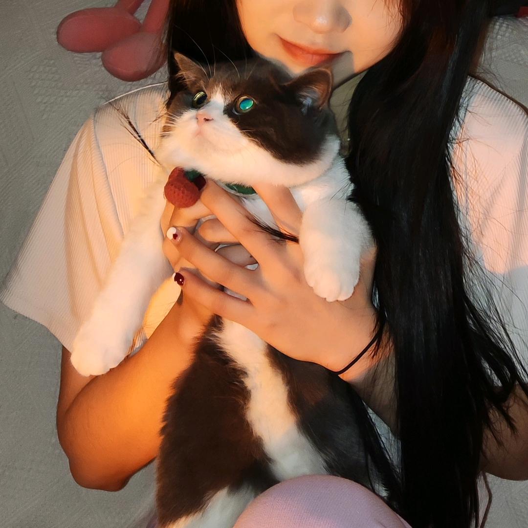 晓晓fir.