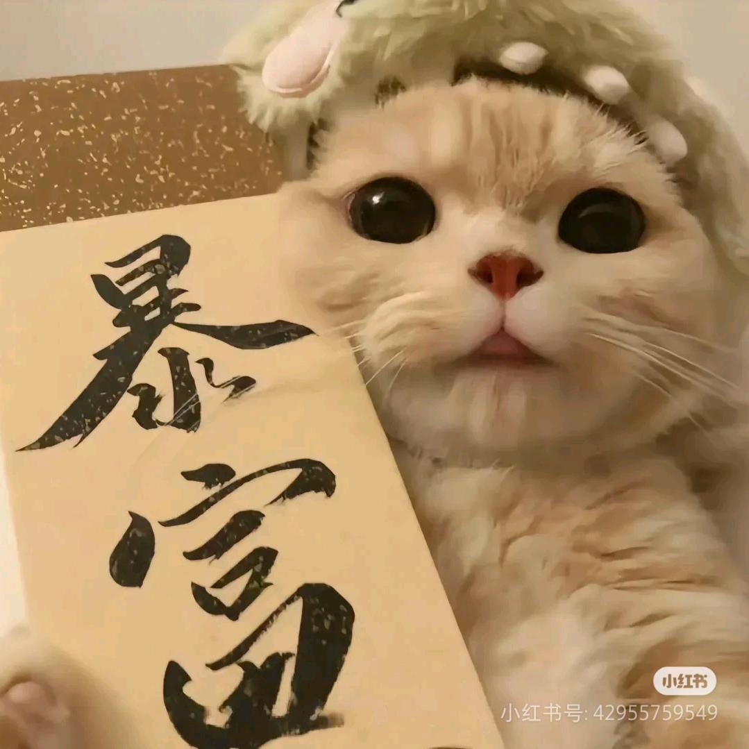 脏兮兮（备考dele 雅思 初会）