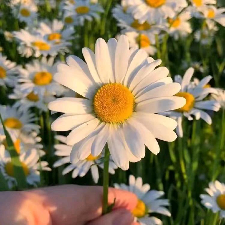 二胖民间鬼故事分享