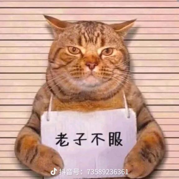 虐恋空姐百小军头像