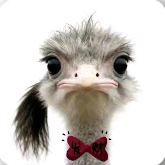 小幺妹🏠【⁴⁰⁶】