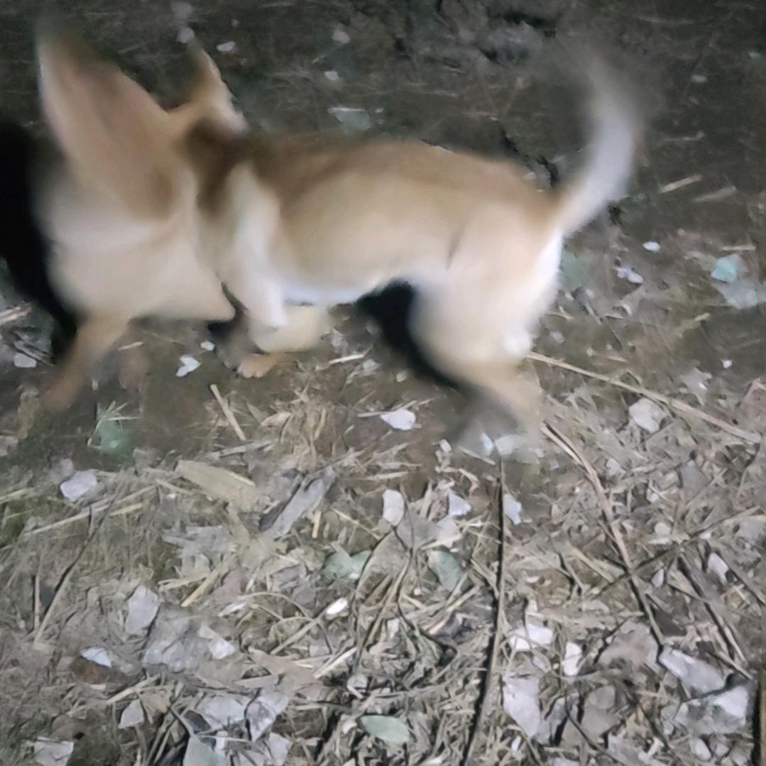 广西人在东莞wyl