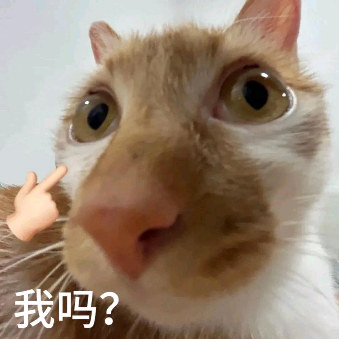 辣椒炒肉干挑面