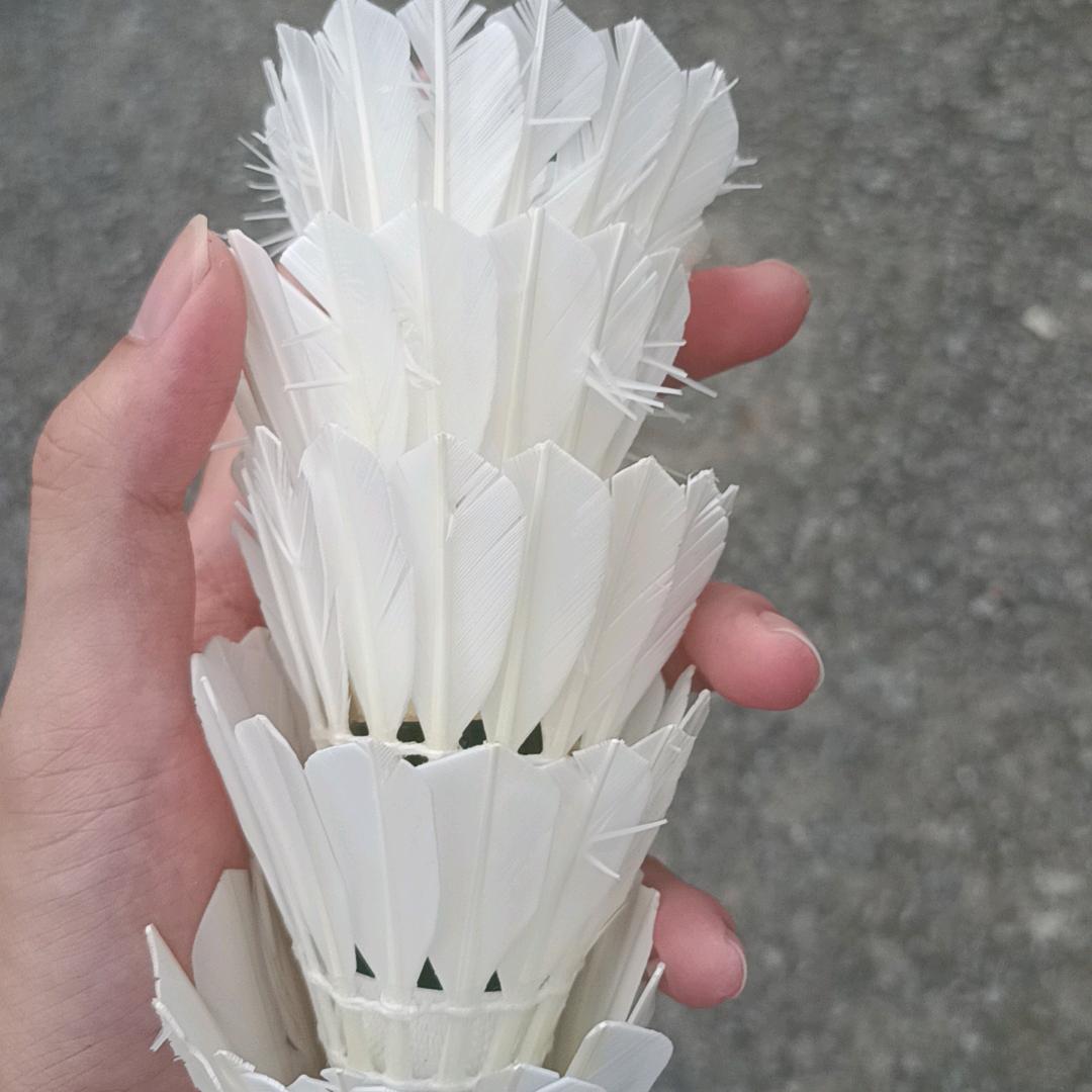 大妲耍