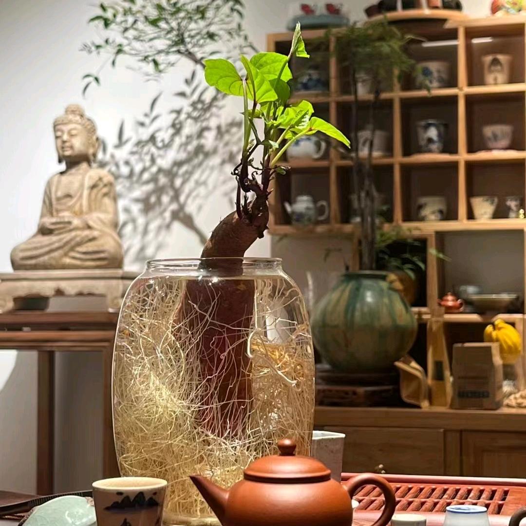 莫强求