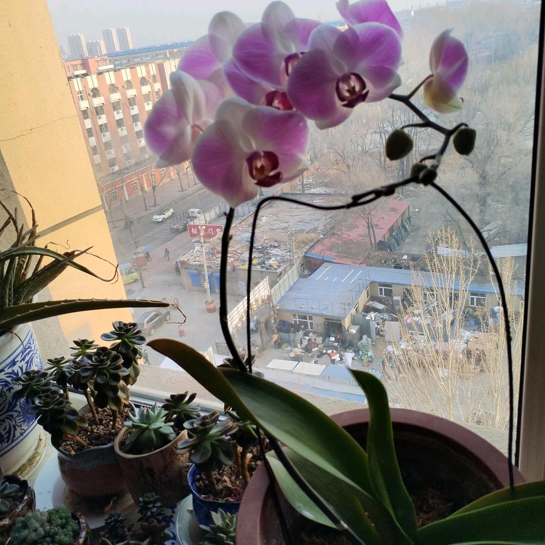 心相印
