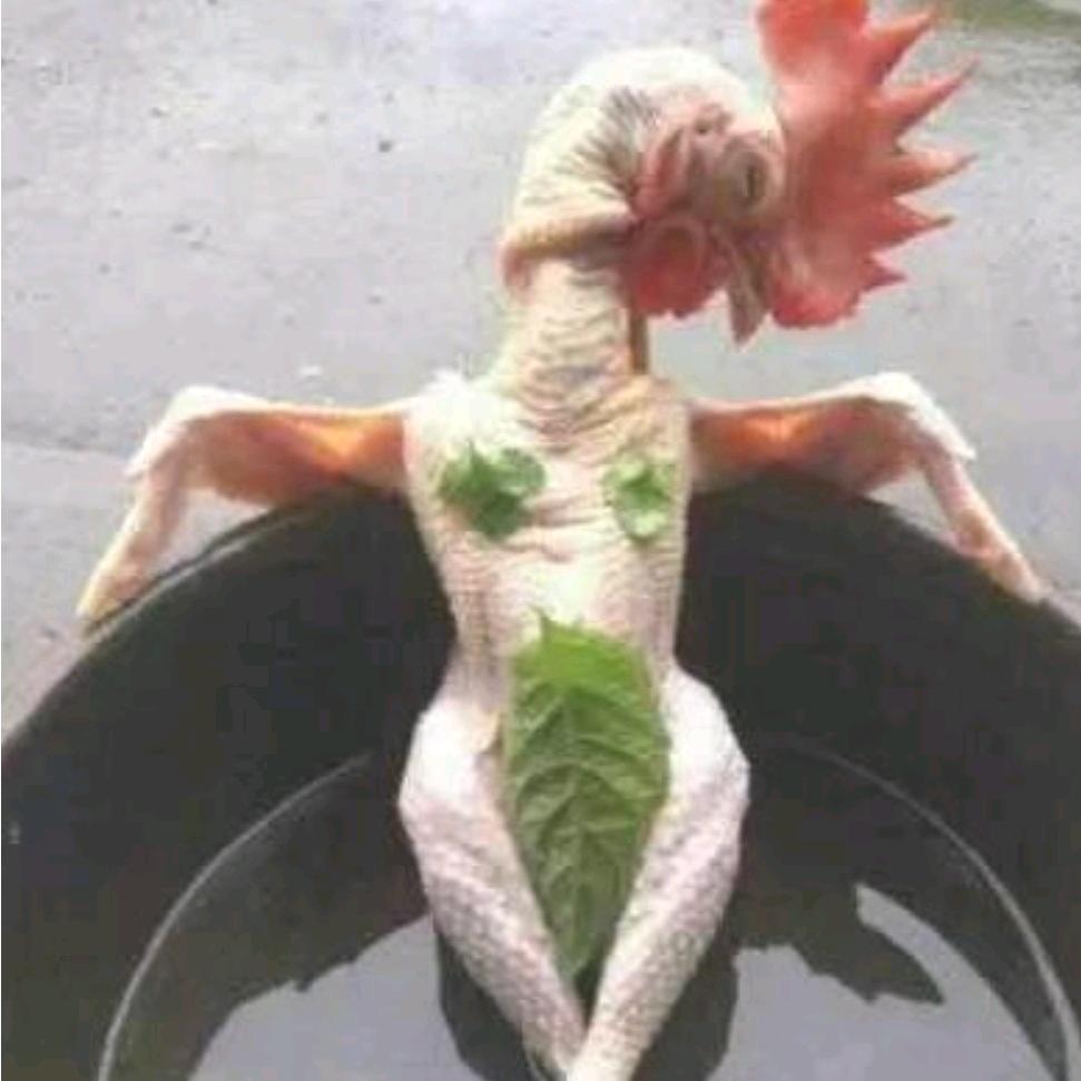 人生无常